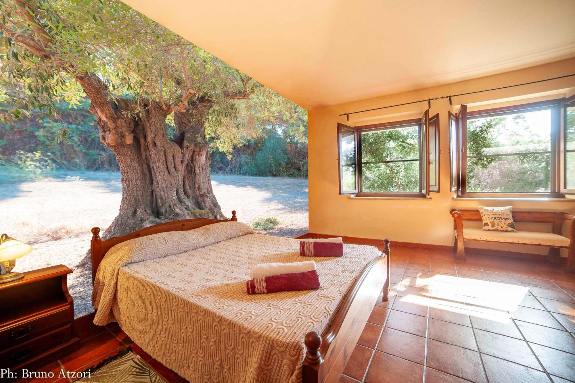 Sa Tanchitta Villa Ula Tirso Exteriör bild