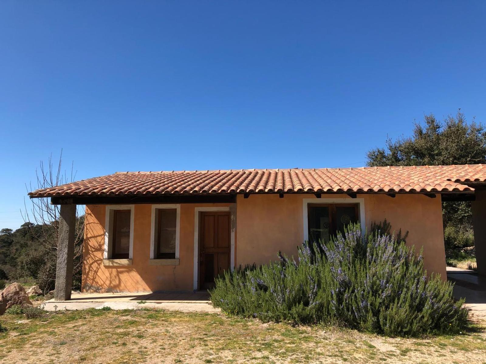 Sa Tanchitta Villa Ula Tirso Exteriör bild